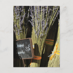 Small bouquets of lavender postcard
