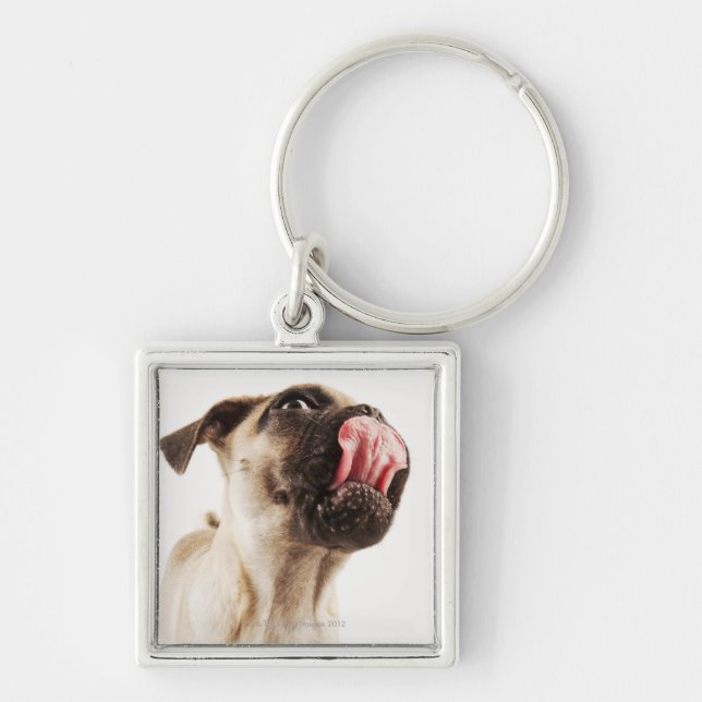 Small Breed of Dog with Short Muzzled Face Key Ring (Front)