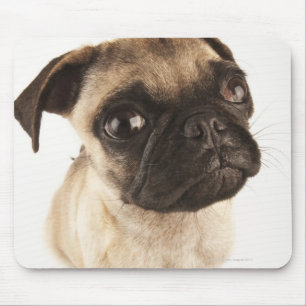 Small breed of dog with short muzzled face mouse mat