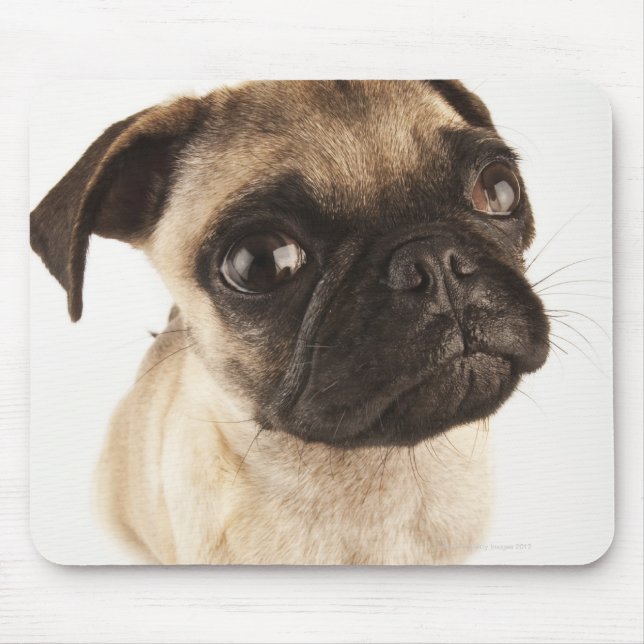 Small breed of dog with short muzzled face mouse mat (Front)