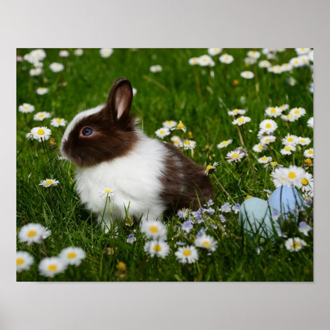 Small Brown and White Bunny in Flowers Poster (Front)