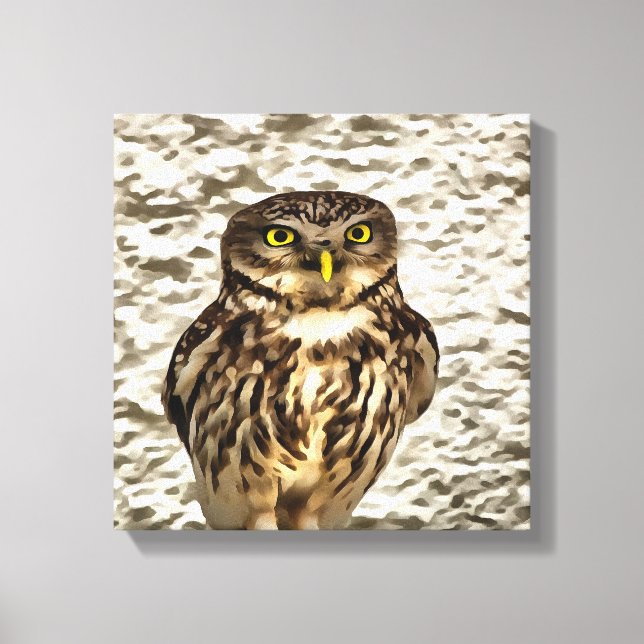 Small Brown Barn Owl Artistic Portrait Canvas Print (Front)