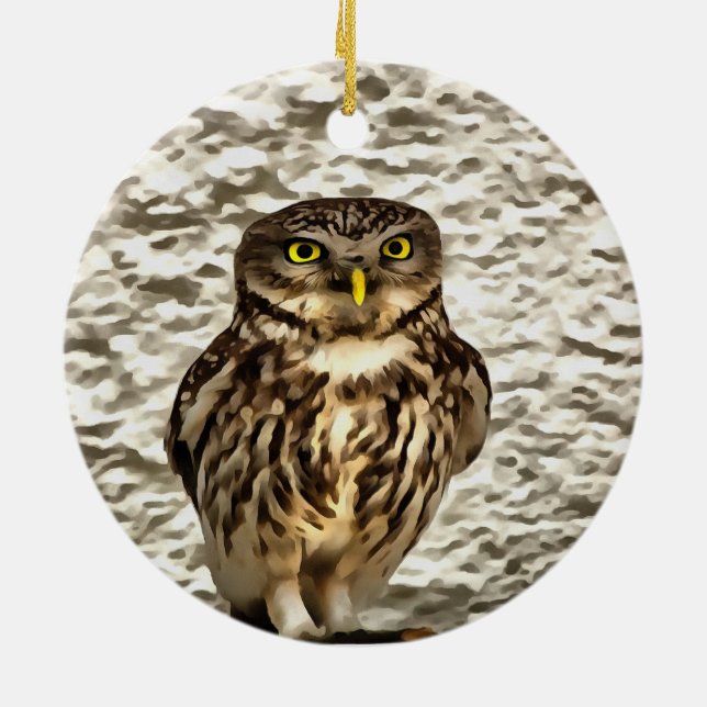 Small Brown Barn Owl Artistic Portrait Ceramic Tree Decoration (Back)