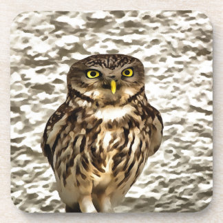 Small Brown Barn Owl Artistic Portrait Coaster