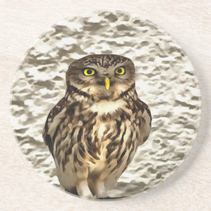 Small Brown Barn Owl Artistic Portrait Coaster