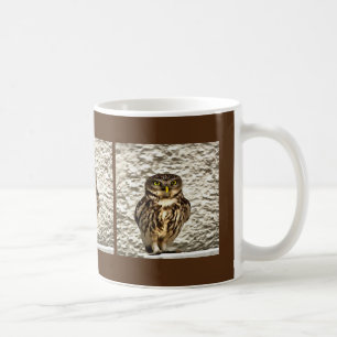 Small Brown Barn Owl Artistic Portrait Coffee Mug