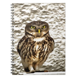 Small Brown Barn Owl Artistic Portrait Notebook