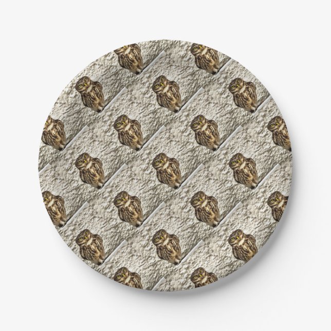 Small Brown Barn Owl Artistic Portrait Paper Plate (Front)