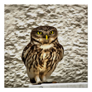 Small Brown Barn Owl Artistic Portrait Poster