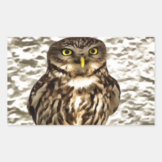 Small Brown Barn Owl Artistic Portrait Rectangular Sticker