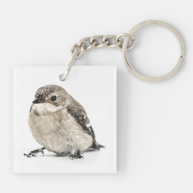 Small Brown Garden Bird Photo Key Ring (Back)