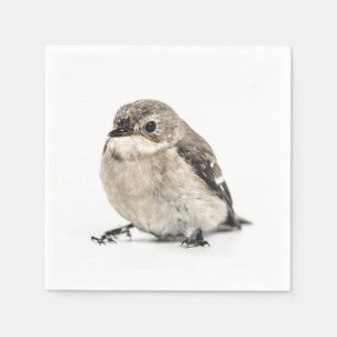 Small Brown Garden Bird Photo Napkin