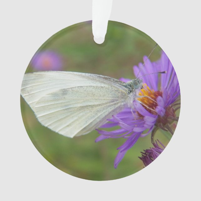 Small Cabbage White Butterfly Ornament (Front)