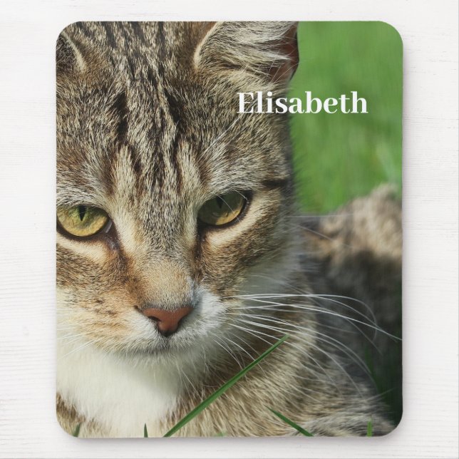 small cat on a green spring meadow  mouse mat (Front)