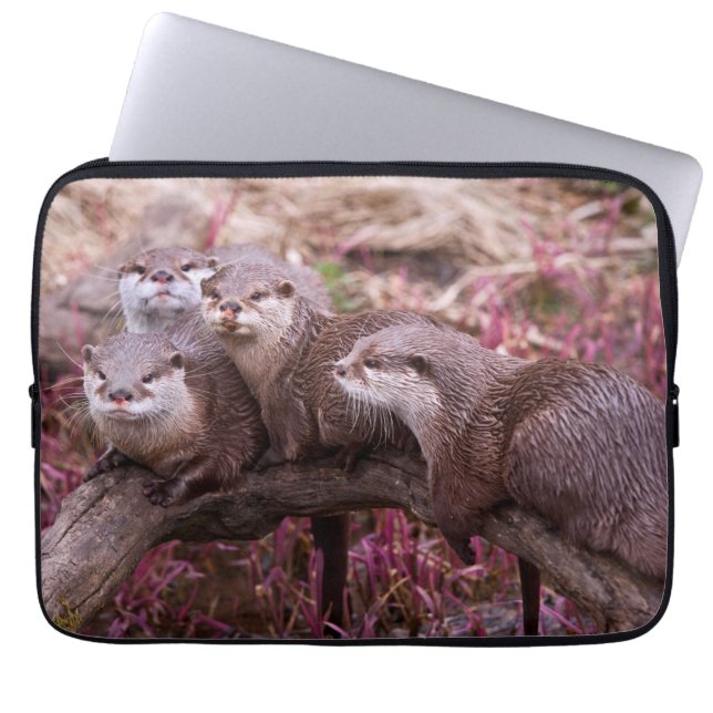 Small Clawed Otters Laptop Sleeve (Front)