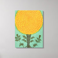 Small Clive Album | A Marigold