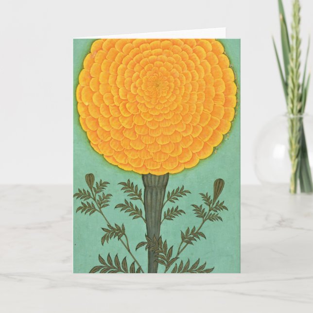 Small Clive Album | A Marigold Card (Front)
