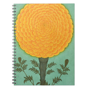 Small Clive Album   A Marigold Notebook