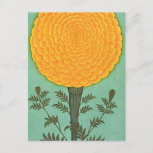 Small Clive Album   A Marigold Postcard