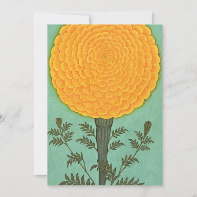 Small Clive Album | A Marigold Thank You Card (Front)