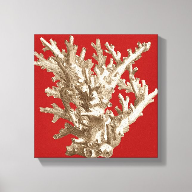 Small Coral in Red Canvas Print (Front)