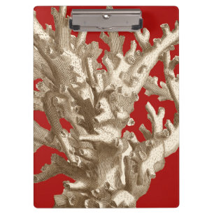 Small Coral in Red Clipboard