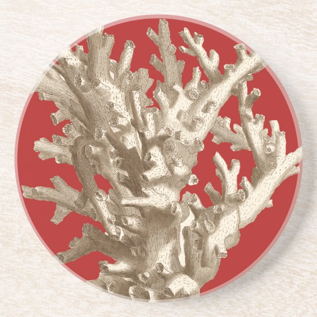 Small Coral in Red Coaster (Front)