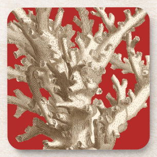 Small Coral in Red Coaster