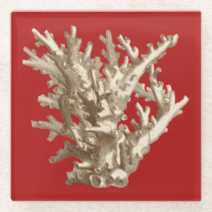 Small Coral in Red Glass Coaster