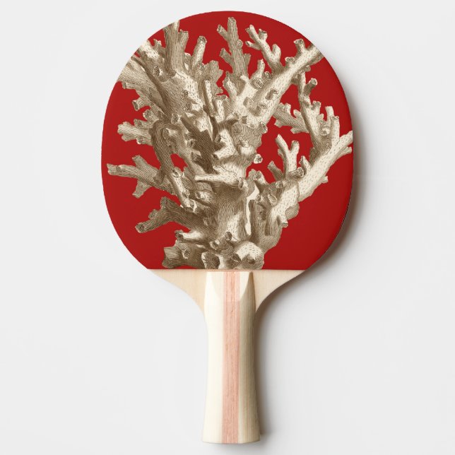 Small Coral in Red Ping Pong Paddle (Front)