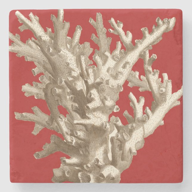 Small Coral in Red Stone Coaster (Front)