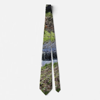 small creek along fence sibiel romania tie