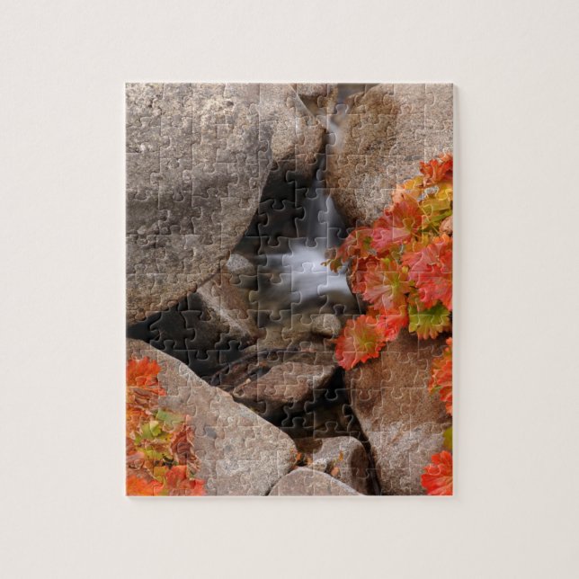 Small creek in autumn, California Jigsaw Puzzle (Vertical)