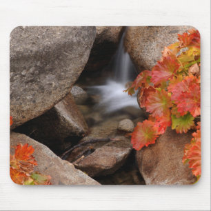 Small creek in autumn, California Mouse Mat