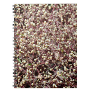 Small cute little ball shaped form wild white bush notebook