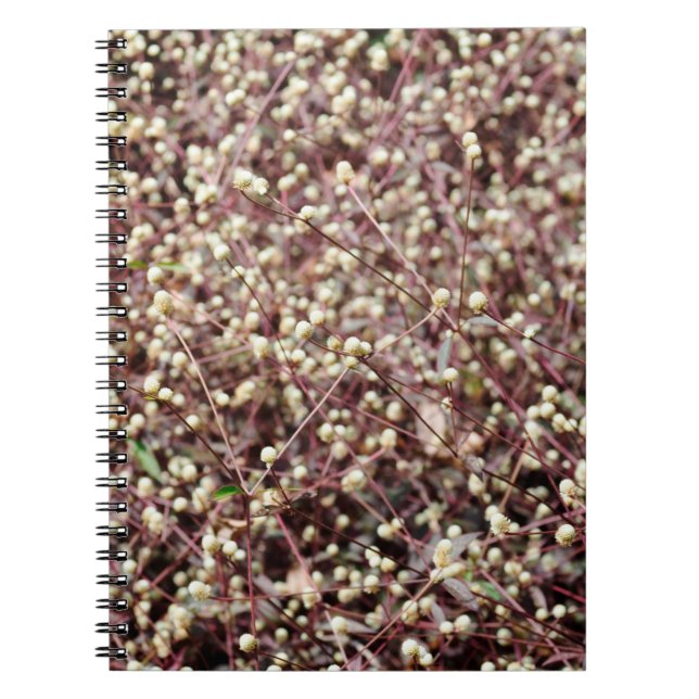 Small cute little ball shaped form wild white bush notebook (Front)