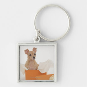Small dog sitting in gift box key ring