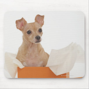Small dog sitting in gift box mouse mat