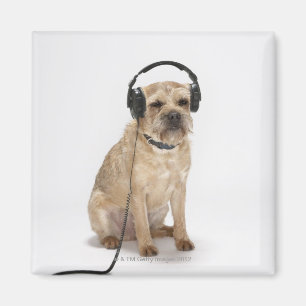 Small dog wearing headphones magnet