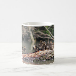 Small ducks coffee mug