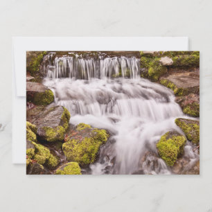 Small Falls In Yosemite Thank You Card