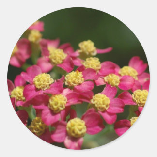 Small Flowers Stickers