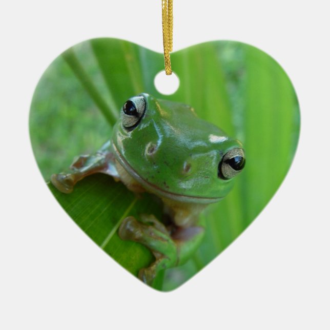 Small Frog Ceramic Tree Decoration (Front)