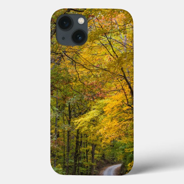 Small Gravel Road Lined With Autumn Colour Case-Mate iPhone Case (Back)