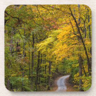 Small Gravel Road Lined With Autumn Colour Coaster