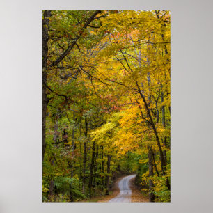 Small Gravel Road Lined With Autumn Colour Poster