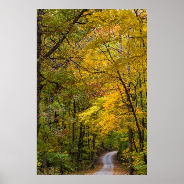 Small Gravel Road Lined With Autumn Colour Poster (Front)