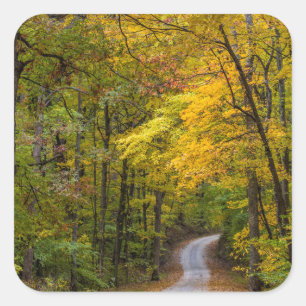 Small Gravel Road Lined With Autumn Colour Square Sticker
