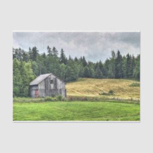 Small Grey Barn Cuddled Against a Forest Tissue Paper