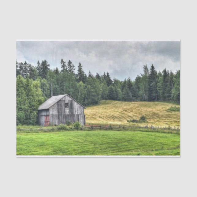 Small Grey Barn Cuddled Against a Forest Tissue Paper (Front)